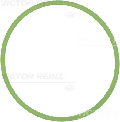 Guarnizione, Collettore aspirazione - 71-40513-00 VICTOR REINZ