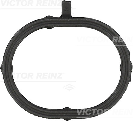 Guarnizione, Collettore aspirazione - 71-54162-00 VICTOR REINZ