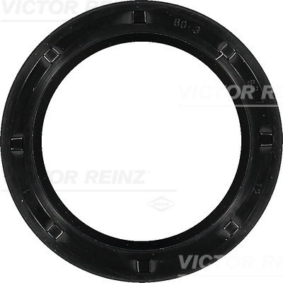 veleno sandariklis, alkūninis velenas - 81-10001-00 VICTOR REINZ