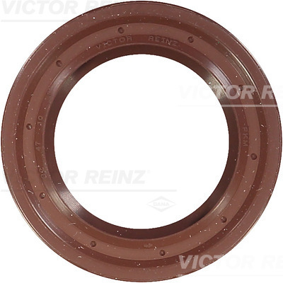 Paraolio, Albero a camme - 81-10429-00 VICTOR REINZ