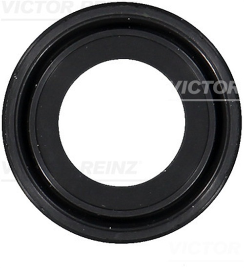 Shaft Seal, camshaft - 81-10459-00 VICTOR REINZ