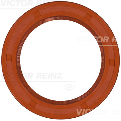 veleno sandariklis, skirstomasis velenas - 81-21087-20 VICTOR REINZ