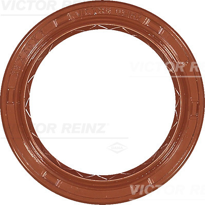 Paraolio, Albero a camme - 81-24641-10 VICTOR REINZ