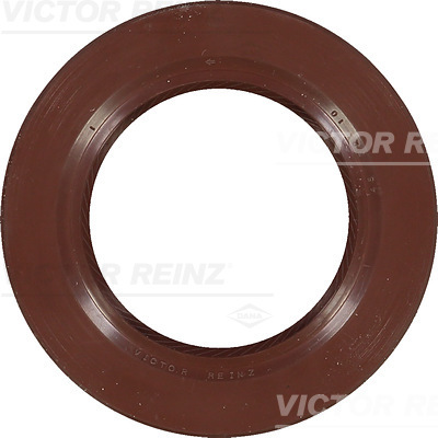 Paraolio, Albero a camme - 81-25887-00 VICTOR REINZ