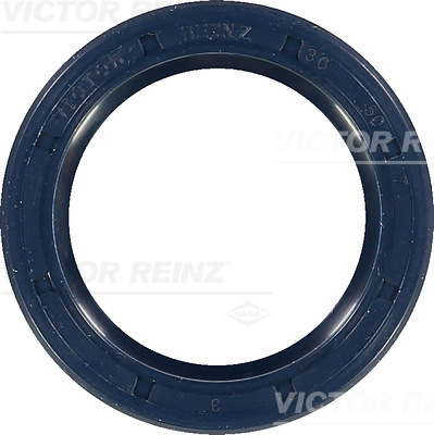 Paraolio, Albero a camme - 81-26244-00 VICTOR REINZ
