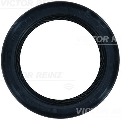 Paraolio, Albero a camme - 81-26244-10 VICTOR REINZ