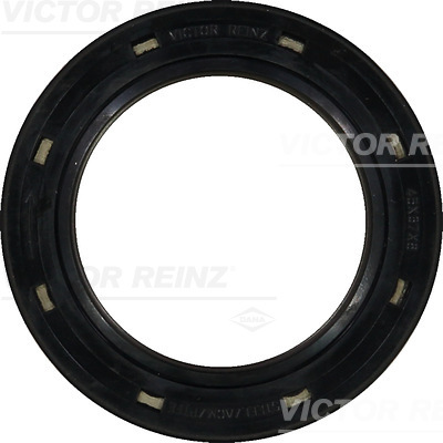 Shaft Seal, crankshaft - 81-26248-10 VICTOR REINZ