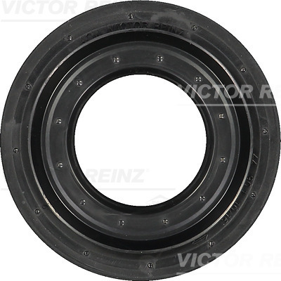 Shaft Seal, camshaft - 81-31193-00 VICTOR REINZ