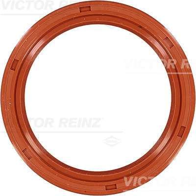 Paraolio, Albero a camme - 81-33627-10 VICTOR REINZ