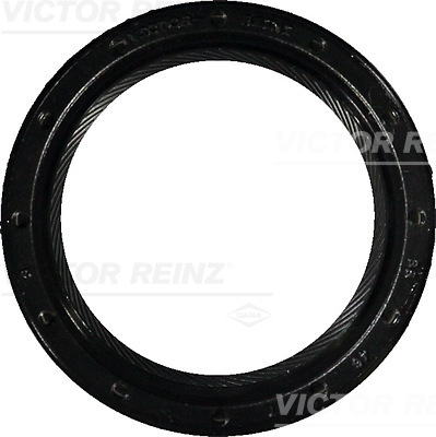 Paraolio, Albero a camme - 81-34391-00 VICTOR REINZ