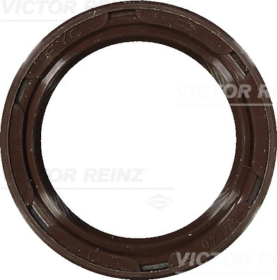 Paraolio, Albero a camme - 81-34842-00 VICTOR REINZ