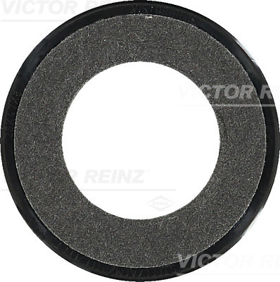 Paraolio, Albero a camme - 81-35239-00 VICTOR REINZ