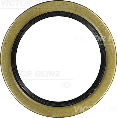 Paraolio, Albero a camme - 81-35294-00 VICTOR REINZ
