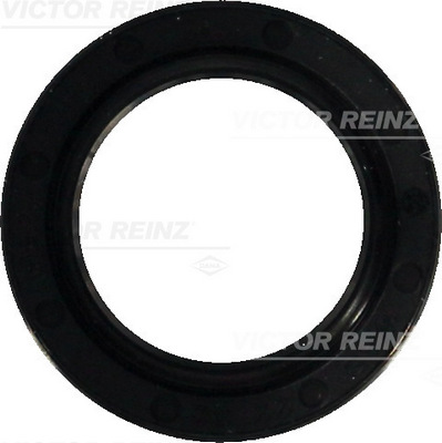 Paraolio, Albero a camme - 81-35298-00 VICTOR REINZ