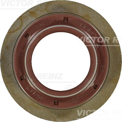 Paraolio, Albero a camme - 81-35308-00 VICTOR REINZ