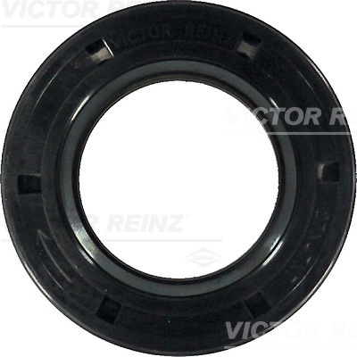 Paraolio, Albero a camme - 81-35552-00 VICTOR REINZ