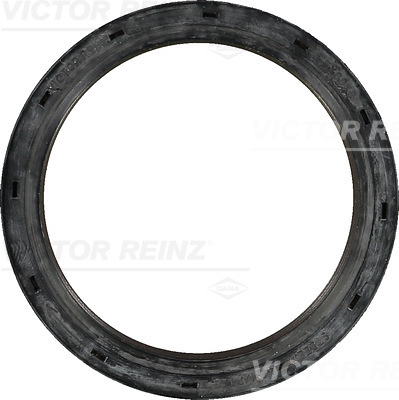 Paraolio, Albero a camme - 81-36228-00 VICTOR REINZ