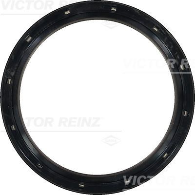Shaft Seal, crankshaft - 81-36556-00 VICTOR REINZ