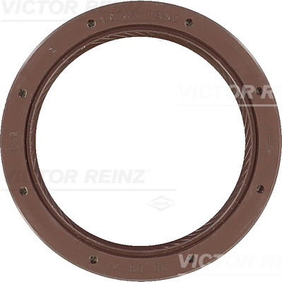 Paraolio, Albero a camme - 81-36966-00 VICTOR REINZ