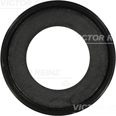 Paraolio, Cambio manuale - 81-38027-00 VICTOR REINZ