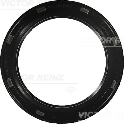 Shaft Seal, crankshaft - 81-38031-00 VICTOR REINZ