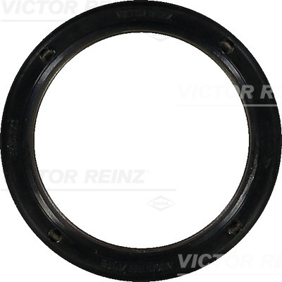 Paraolio, Albero a camme - 81-38507-00 VICTOR REINZ