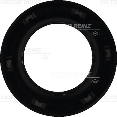 Paraolio, Albero a camme - 81-42734-00 VICTOR REINZ