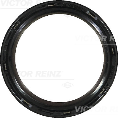 Paraolio, Albero a camme - 81-42736-00 VICTOR REINZ