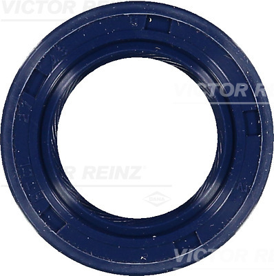 Paraolio, Albero a camme - 81-53219-00 VICTOR REINZ