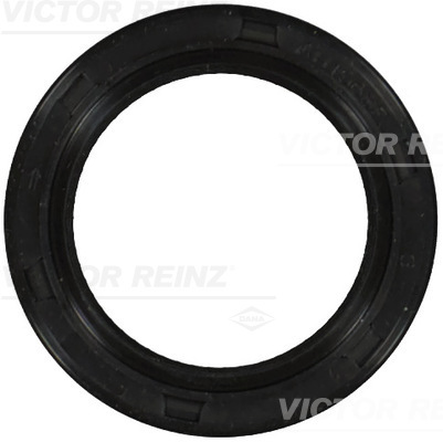 Paraolio, Albero a camme - 81-53244-00 VICTOR REINZ