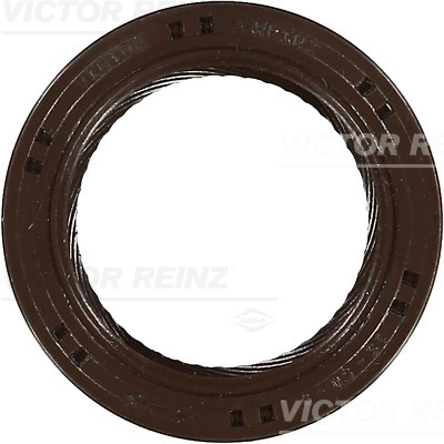 Paraolio, Albero a camme - 81-53246-00 VICTOR REINZ