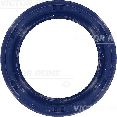 Paraolio, Albero a camme - 81-53251-00 VICTOR REINZ