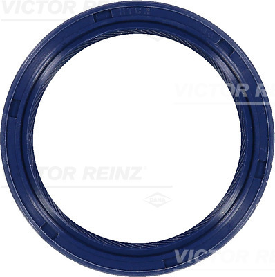veleno sandariklis, alkūninis velenas - 81-53284-00 VICTOR REINZ