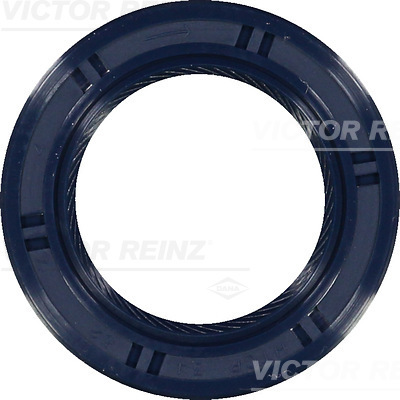 Paraolio, Albero a camme - 81-53491-00 VICTOR REINZ