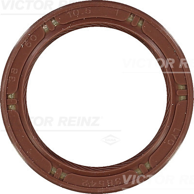 Paraolio, Albero a camme - 81-53572-00 VICTOR REINZ