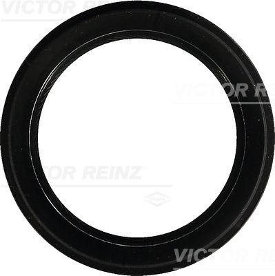 Shaft Seal, crankshaft - 81-54272-00 VICTOR REINZ
