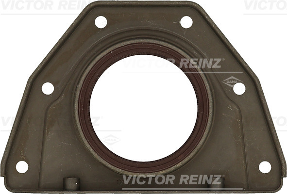 Paraolio, Albero a camme - 81-90060-00 VICTOR REINZ