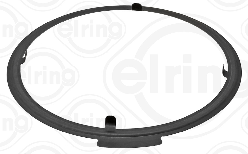 Guarnizione valvola EGR (ricircolo gas scarico) - 005.250 ELRING