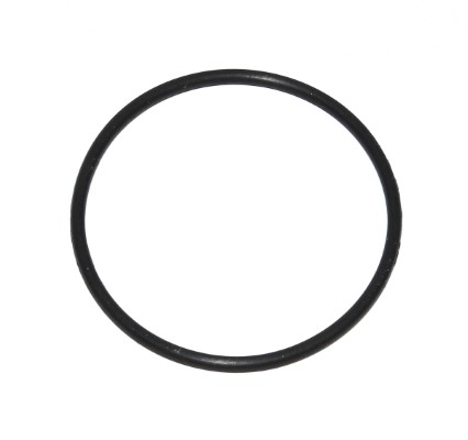 Seal Ring - 003.520 ELRING
