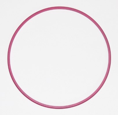 Seal Ring - 003.881 ELRING