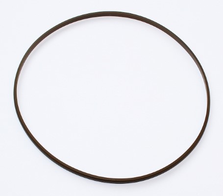 Seal Ring - 003.900 ELRING