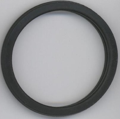 Seal Ring - 027.450 ELRING