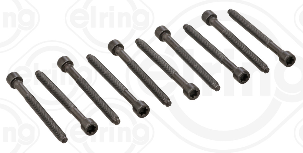 Комплект болтов головки цилидра - 325.930 ELRING