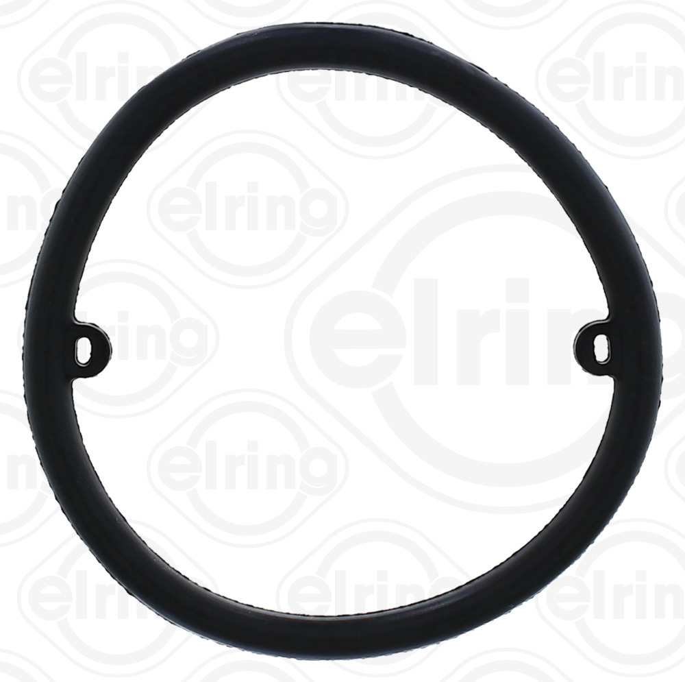 Seal Ring - 634.380 ELRING