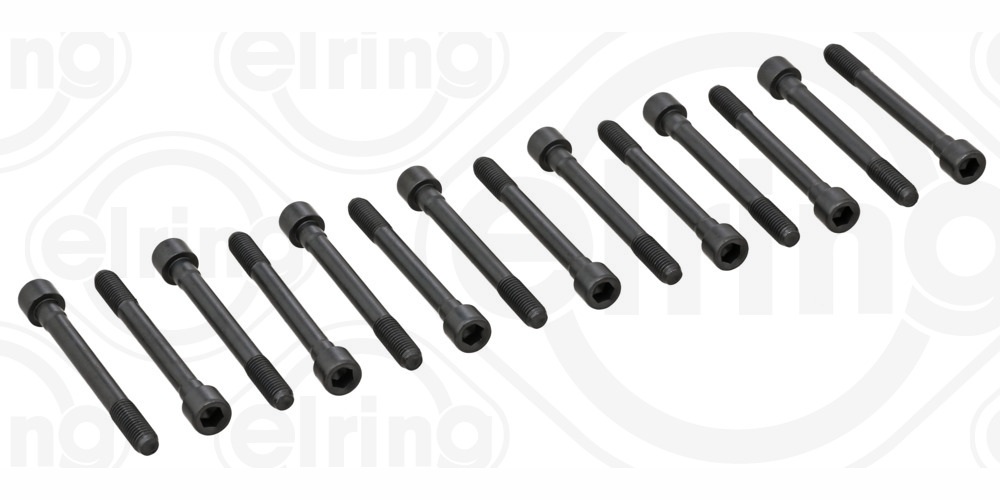 Bolt Kit, cylinder head - 710.100 ELRING