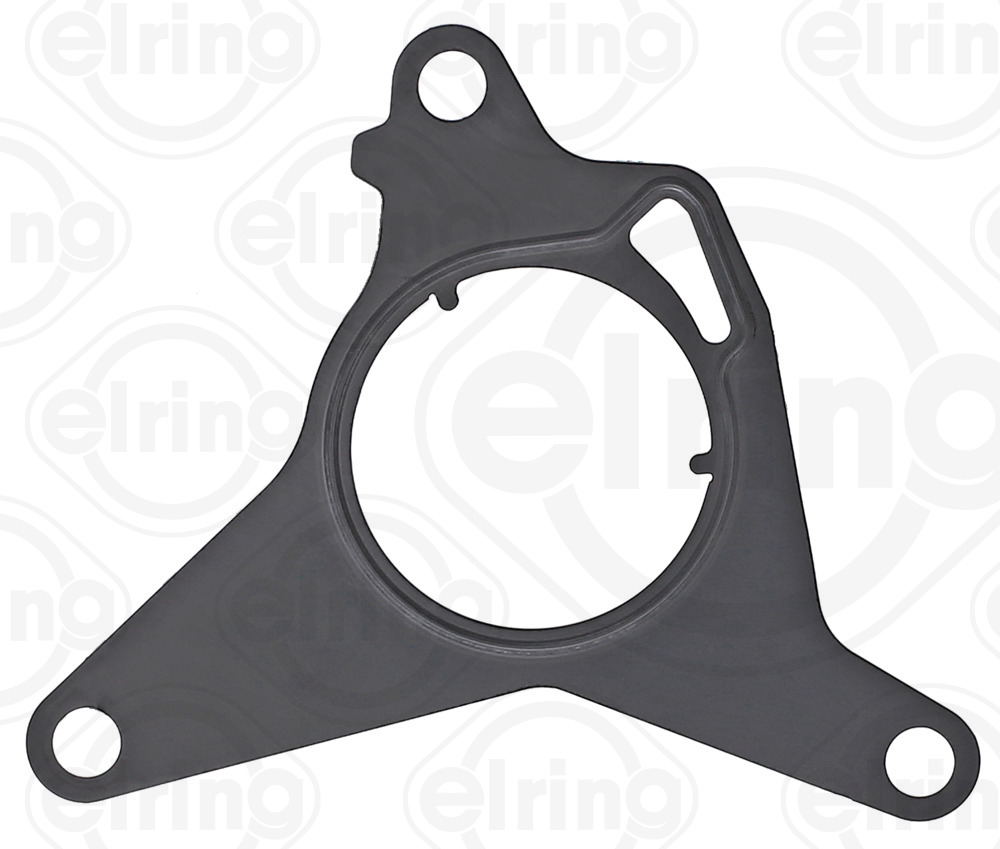 Gasket, vacuum pump - 890.760 ELRING