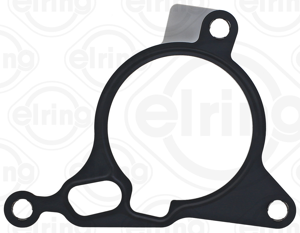 Gasket, vacuum pump - 895.080 ELRING