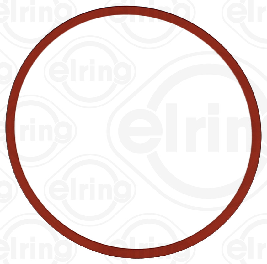 Guarnizione, Collettore aspirazione - 895.440 ELRING