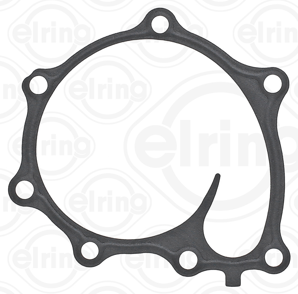 Gasket, water pump - 925.200 ELRING