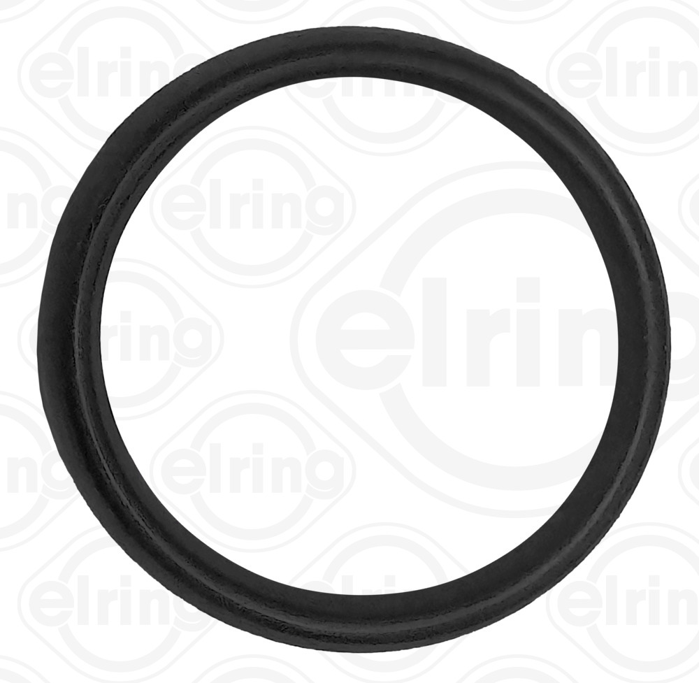 Seal Ring, oil drain plug - B07.200 ELRING